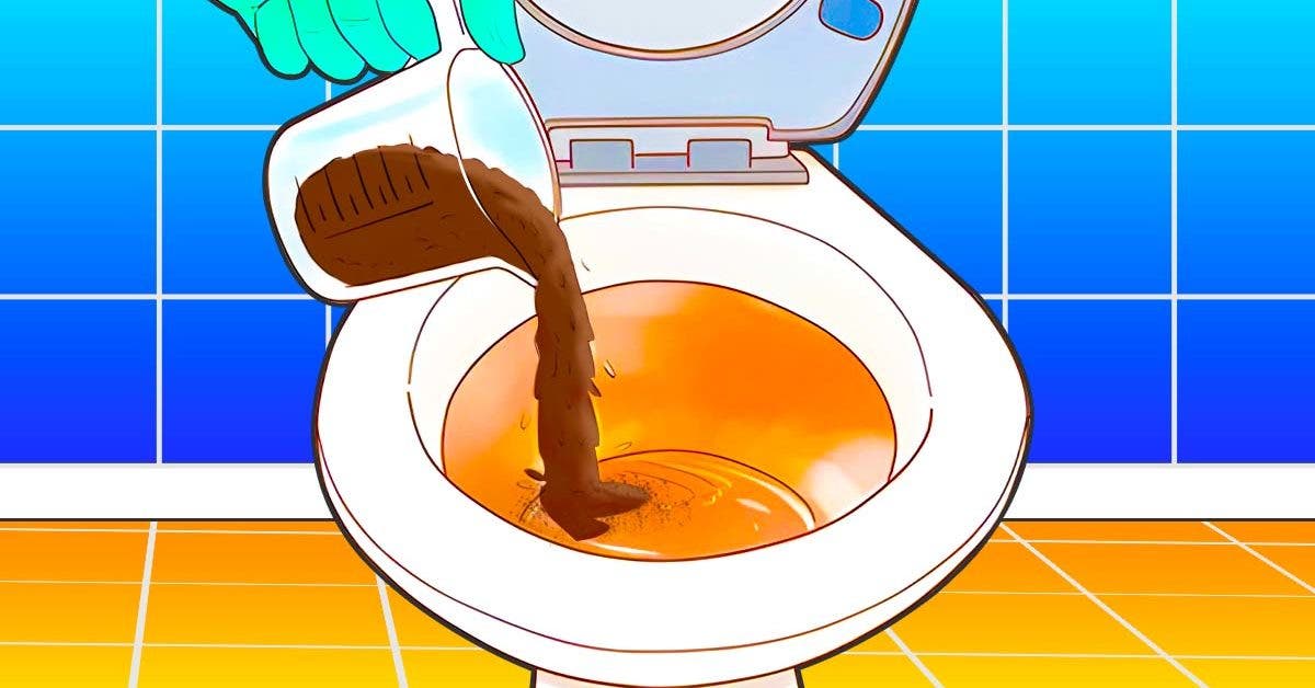 flush-the-coffee-grounds-down-the-toilet:-you-can't-imagine-what-happens-next