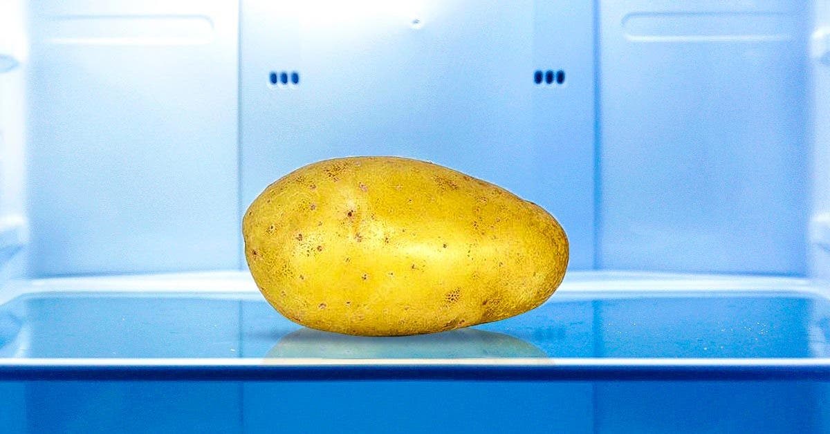 why-should-a-raw-potato-be-placed-in-the-refrigerator?-you-will-get-rid-of-a-big-problem