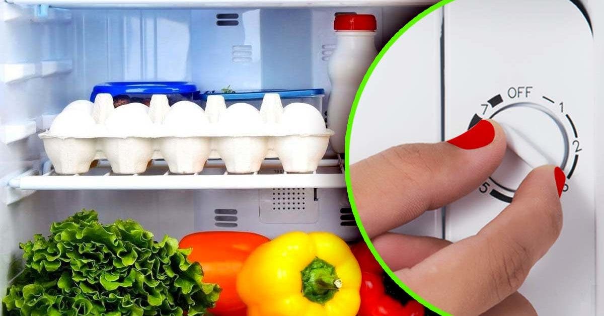 what-temperature-should-the-refrigerator-be-set-to-in-summer?-few-people-know