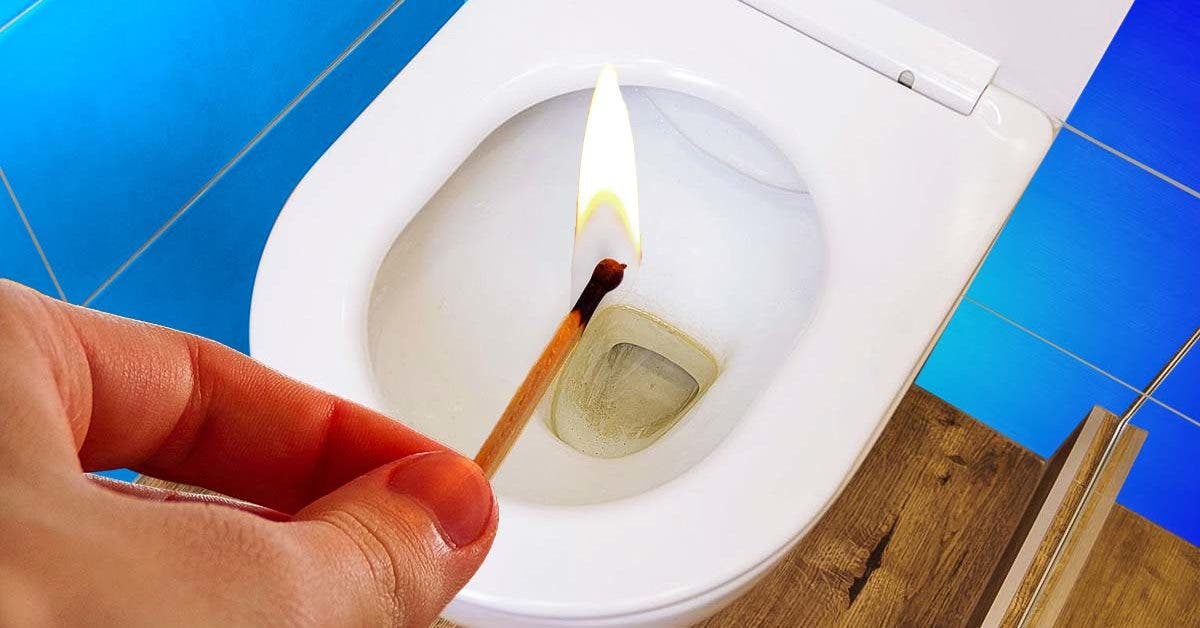 what-happens-when-you-flush-a-match-down-the-toilet?-the-handy-trick-that-will-save-you-money