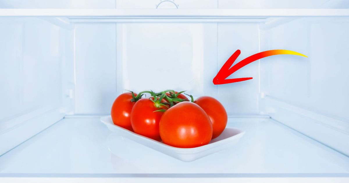 do-you-put-tomatoes-in-the-fridge?-here's-why-we-need-to-get-them-out-now