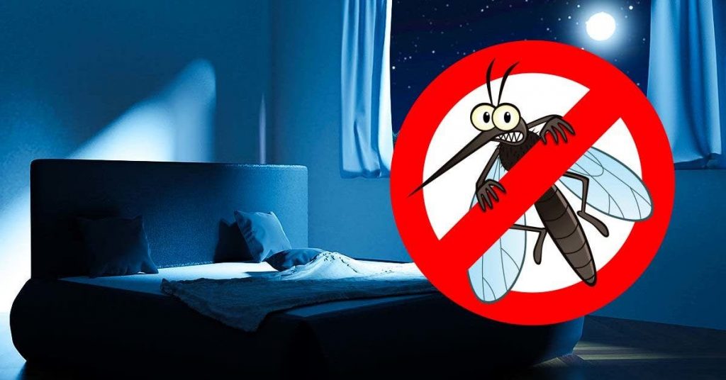 how-to-get-rid-of-mosquitoes-buzzing-in-your-bedroom-at-night-you