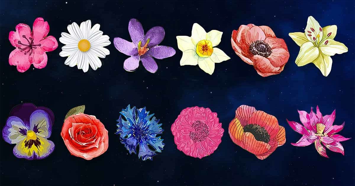 what-is-your-flower-according-to-your-month-of-birth?-what-it-reveals-about-your-personality