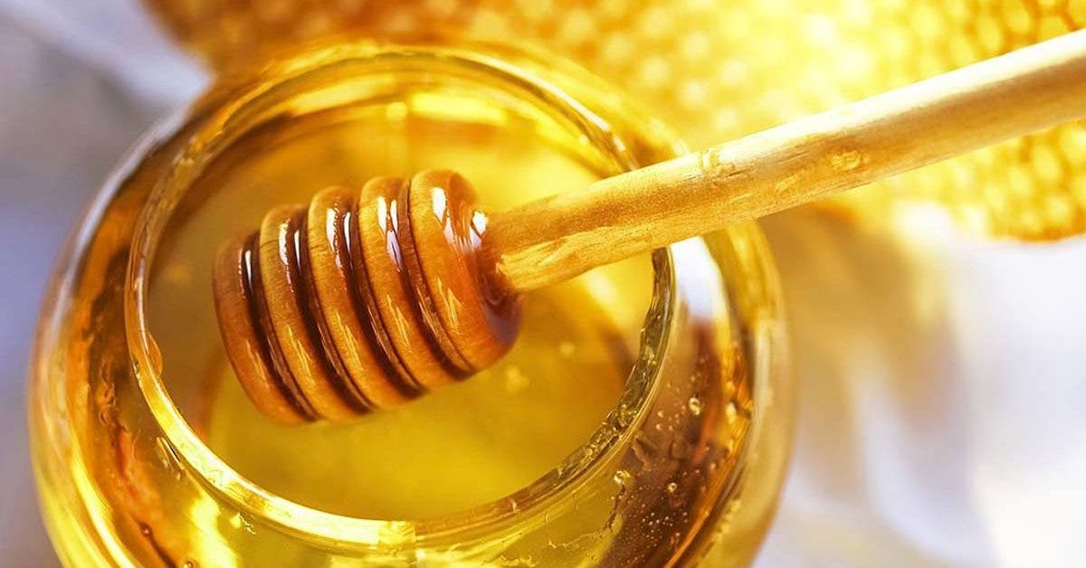 bee-products:-what-are-the-benefits?