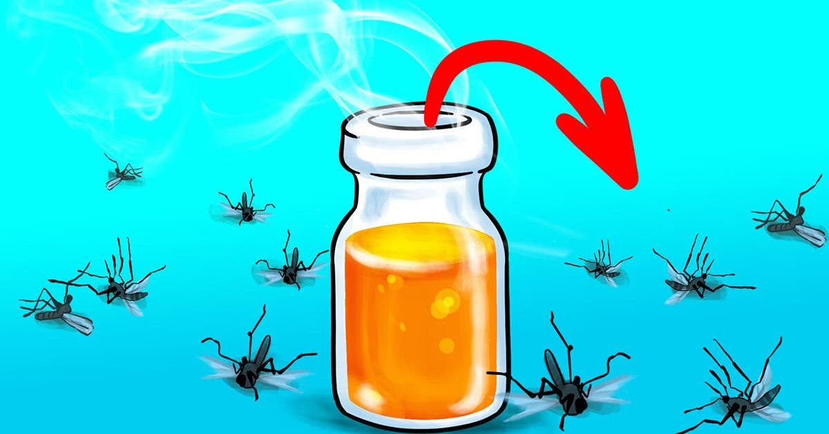 how-to-keep-mosquitoes-away-naturally?-you-won't-see-them-anymore
