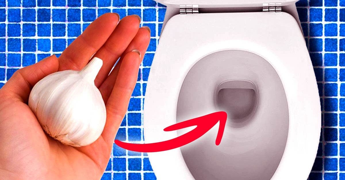 why-is-it-important-to-flush-a-clove-of-garlic-down-the-toilet-before-going-to-sleep?-the-trick-that-changes-everything