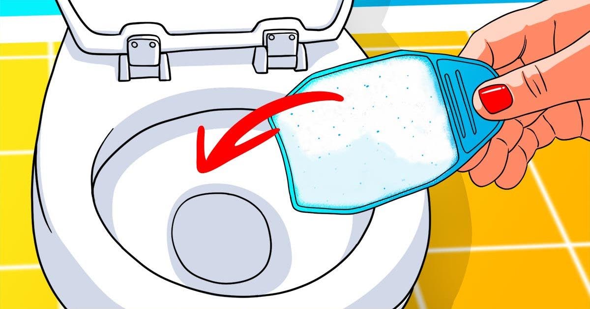 pour-washing-powder-down-your-toilet-and-watch-what-happens