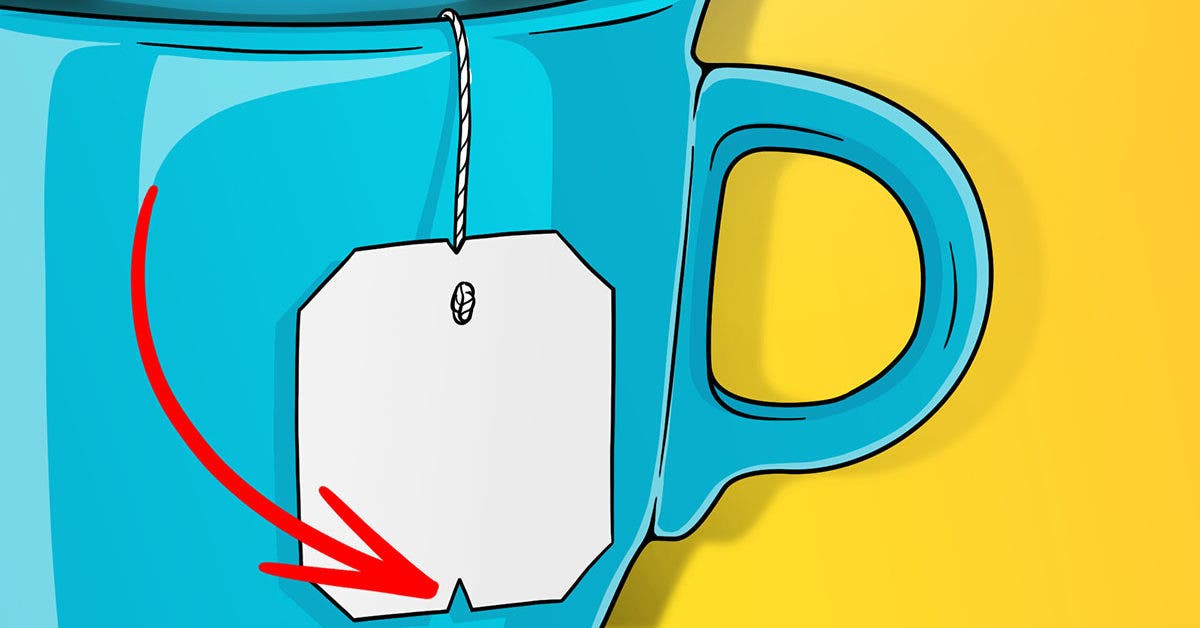 what-is-the-notch-on-tea-bag-labels-really-for?-a-little-known-but-essential-function