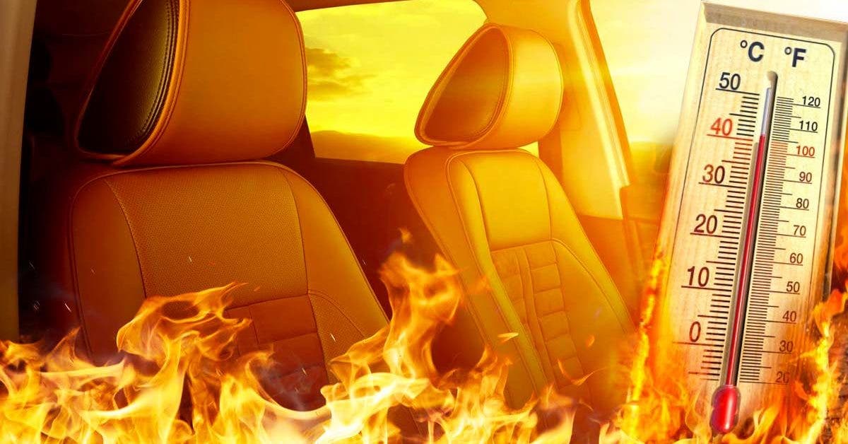 these-are-the-things-you-should-never-leave-in-the-car-when-it's-hot:-you-may-regret-it