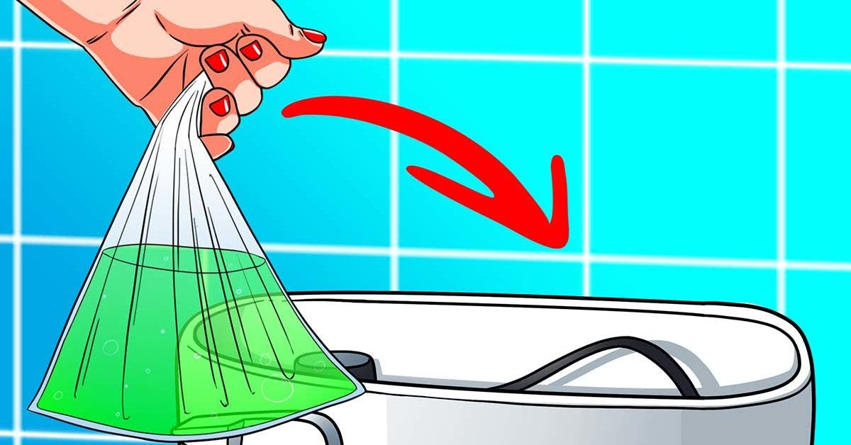 put-this-in-your-toilet-cistern:-it's-the-secret-to-smelling-toilets