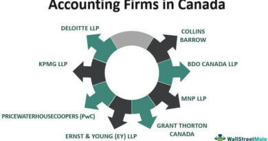 The amount Accountings Firm Approaches Me in Canada Will Set you back?