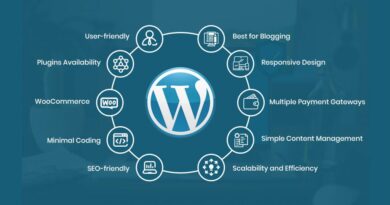 What is the Advantage of WordPress?