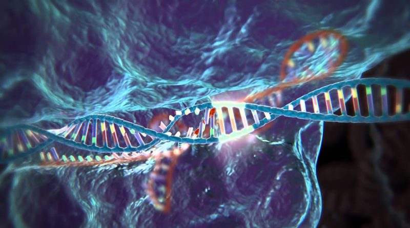 Global CRISPR Genome Editing Market